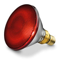 BEURER BUE61651 Ersatzstrahler / spare bulb 150W (IL 21