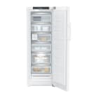 Liebherr - LIE995044651 FH+ Gefrierschrank 60cm 6FAcher IceM No
