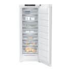Liebherr LIE995203751 FH+ Gefrierschrank 70cm 7FAcher NoFr. 3