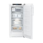 Liebherr - LIE996990951 FH+ Gefrierschrank 60cm 4FAcher IceM No