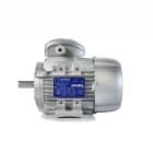 MOTIVE SRL - MOT280S-4B3 Mot 280S-4 B3 kW75 400/690 IE2