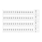 BRADY ITALIA - MODSA4X12 TARGHETTA 4X12 4 STELI BIANCO - 2048 TAG