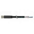 MURRELEKTRONIK SRL - MUE7000087416400300 M8 FEM. 0? CON CAVO, SCHERMATO