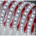 NOBILE ITALIA - NOB70012/C STRIP 5M 4,8W/M 120LED/M 3K IP67 24V