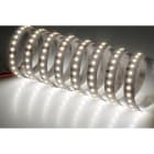 NOBILE ITALIA - NOB80340/90/C STRIP 5M 19,2W/M 128LED/M 3K IP20 24V