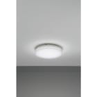 NOBILE ITALIA NOBPLDR22 PLAFONIERA 15W BIANCO DINAMICO 240V IP20