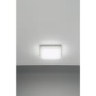 NOBILE ITALIA NOBPLDS22 PLAFONIERA 15W BIANCO DINAMICO 240V IP20