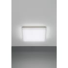 NOBILE ITALIA NOBPLDS33 PLAFONIERA 24W BIANCO DINAMICO 240V IP20