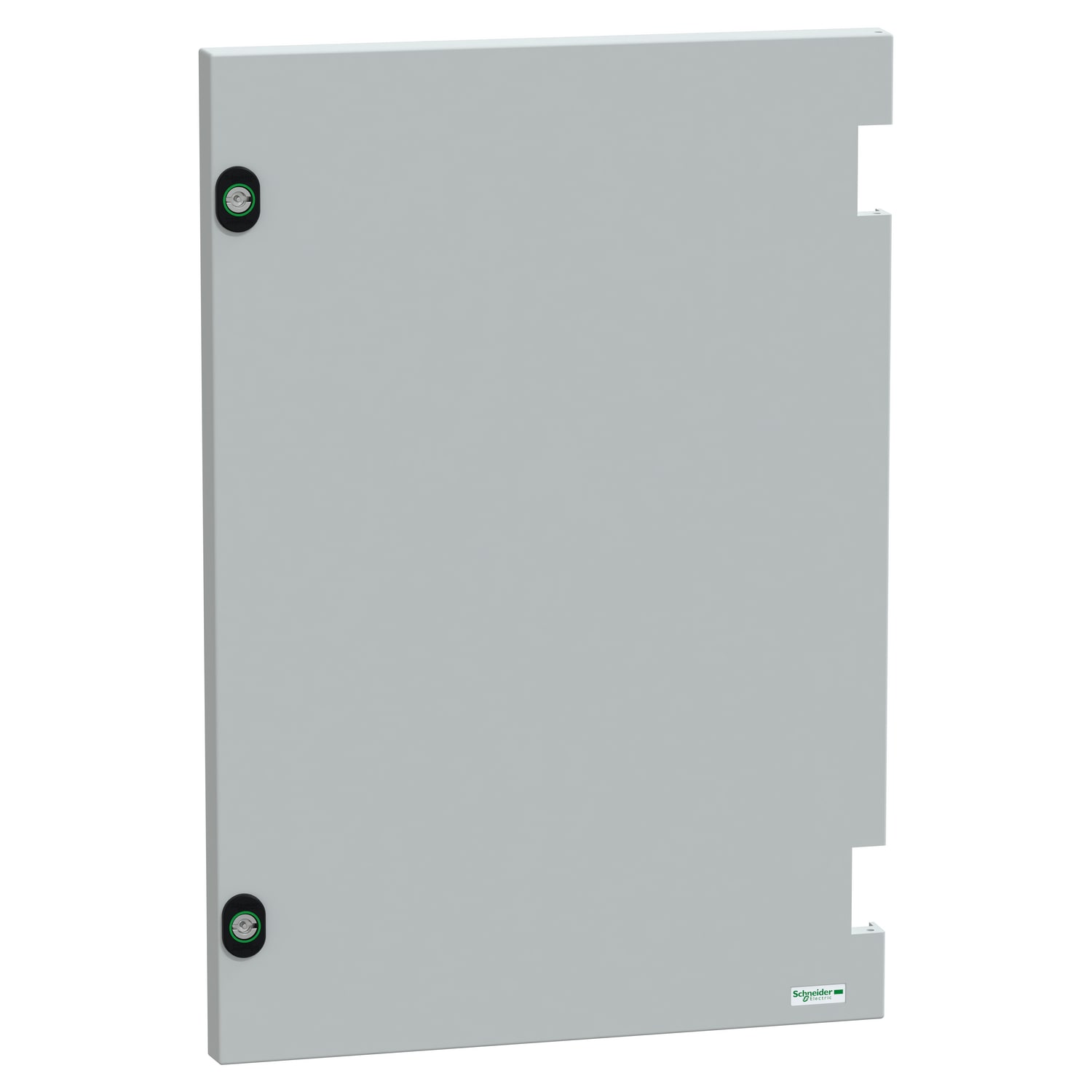 SCHNEIDER ELECTRIC SNRNSYDPLM64G PORTA PIENA PER PLM64G RAL7035