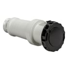 SCHNEIDER ELECTRIC - SNR81486 PRESA MOBILE IP67 3PNT 63A 500V