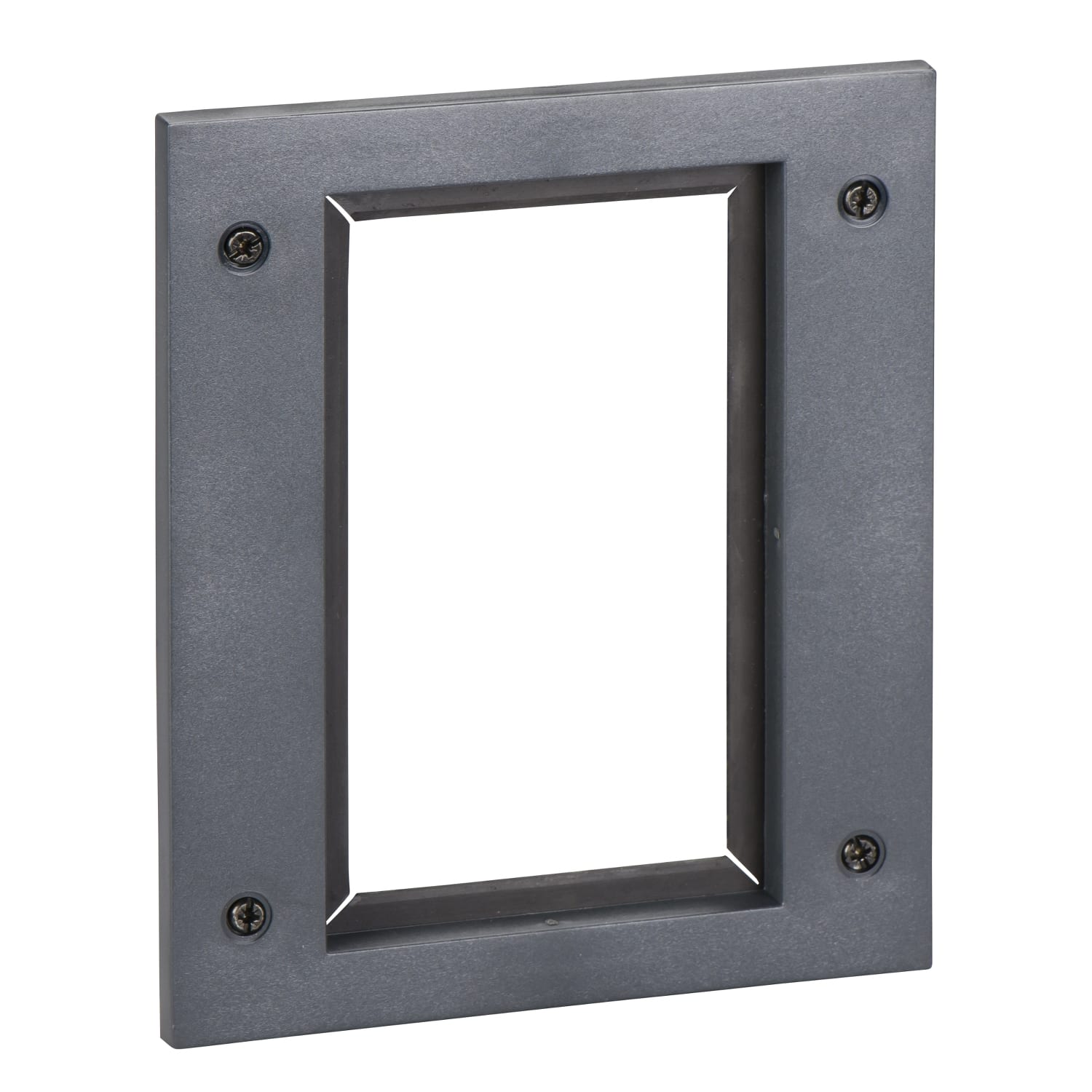 SCHNEIDER ELECTRIC SNR33717 MOSTRINA FISSO COMANDO MANUALE