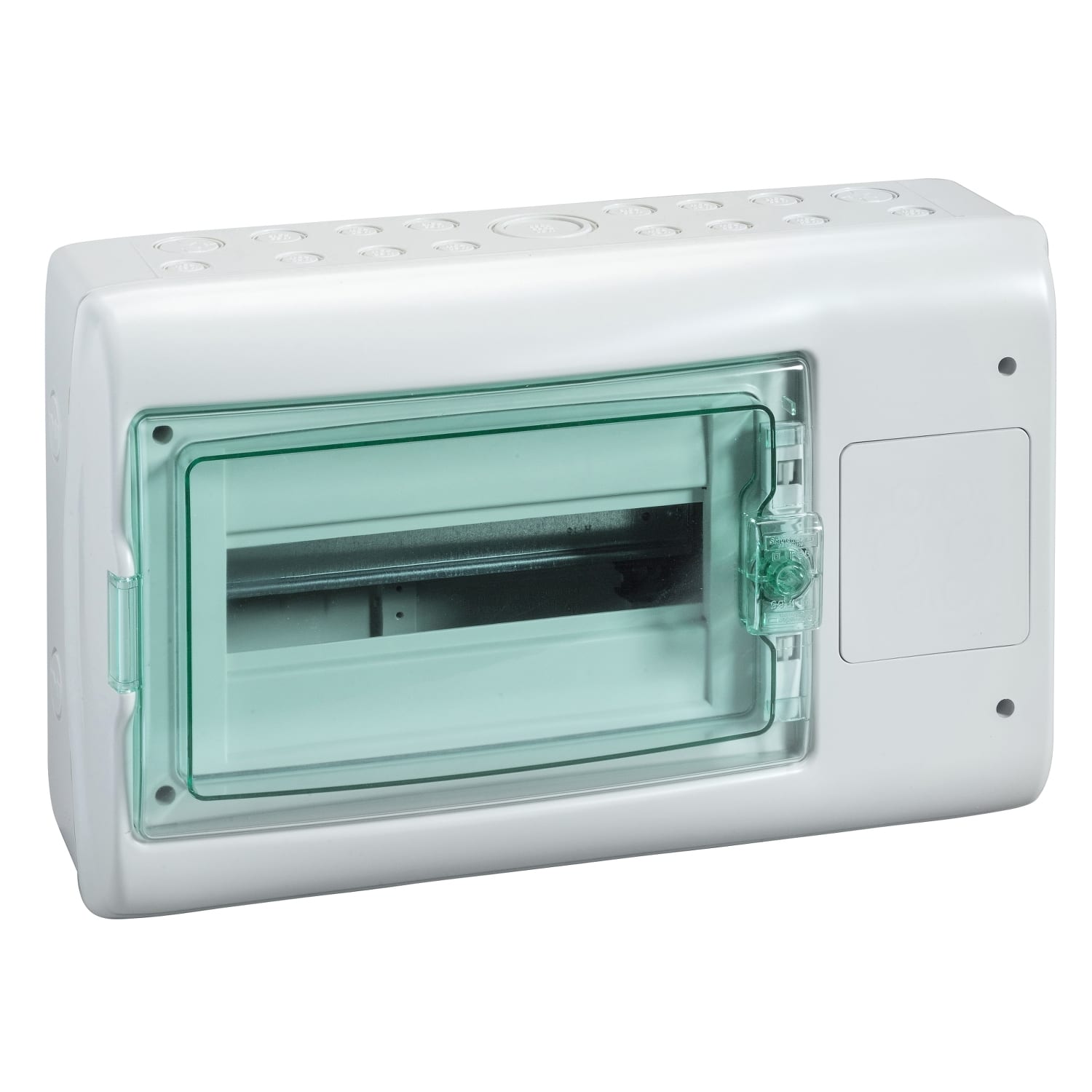 SCHNEIDER ELECTRIC - SNR10350 Quadro parete Mureva Enclosures IP65 + interfaccia 1 fila 12 moduli 1 apertura