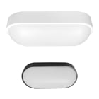 BOT LIGHTING SRL - BTLOVIEDO18O BH1R BULKHEAD LED 18W OVALE - CCT - BIAN