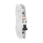 LOVATO - LOVP1MBUL1PC50 MCB 1P C50 120V 10KA UL489