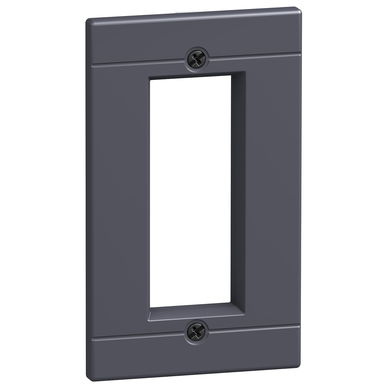 SCHNEIDER ELECTRIC - SNR29315 MOSTRINA IP40 COMAN.DIRET.NS100/250