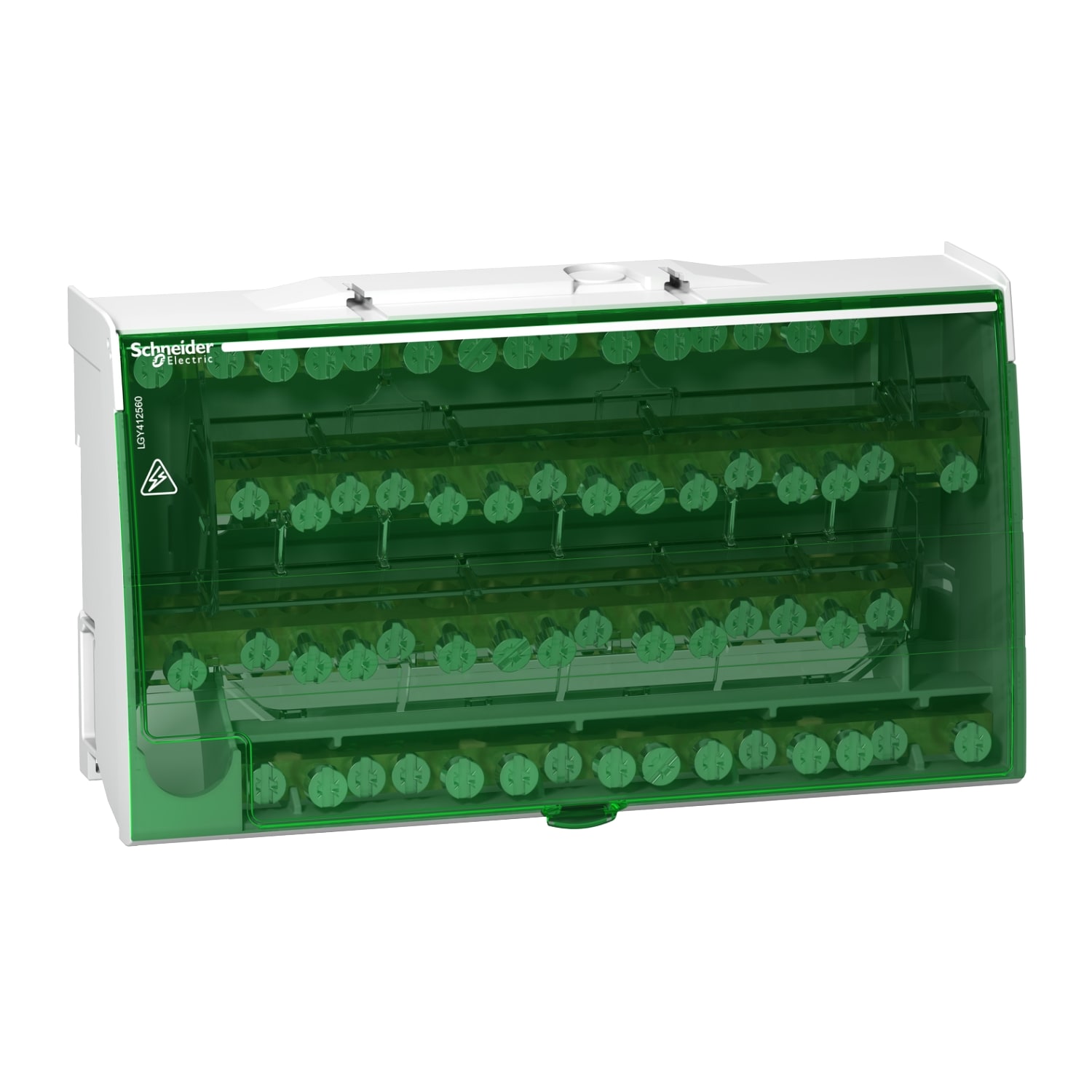 SCHNEIDER ELECTRIC SNRLGY412560 MORSETTIERA TETRAPOLARE 4X15 FORI