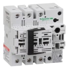 SCHNEIDER ELECTRIC - SNRGS1DD3 Gesicherter Trennschalter-Sockel GS1 3p
