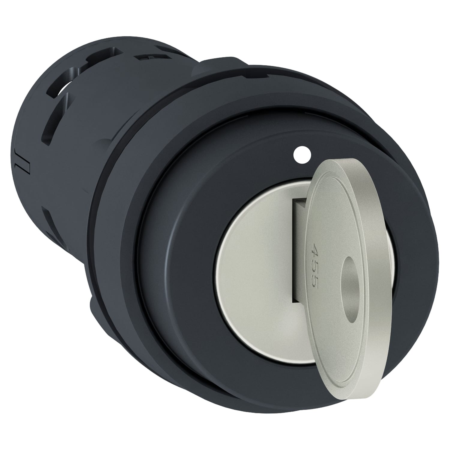 SCHNEIDER ELECTRIC SNRXB7NG21 SELETTORE A CHIAVE 2 POSIZIONI