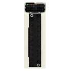 SCHNEIDER ELECTRIC - SNRBMXDDI1603 Modulo ingressi digitali M340 - 16 ingressi - 48 V CC positiva