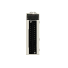 SCHNEIDER ELECTRIC SNRBMXMSP0200 SCHEDA MOTION 2 CANALI