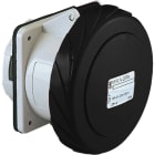 SCHNEIDER ELECTRIC - SNR81686 Presa fissa BT da incasso diritta IP67 63A 500V 3P+N+T