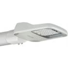 SIGNIFY ITALY SPA - PHA99816800 CoreLine Malaga LED, Road & street light, 29.5 W, 3054 lm, 4000 K, CRI70, Distribuzione media DM, Classe di isolamento II, IP65, SRG4-4