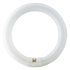 SIGNIFY ITALY SPA PHLE3284 MASTER TL-E Circular Super 80 - Fluorescent lamp - Consumo energetico: 32.8 W - Classe di efficienza energetica: G