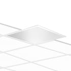 PERFORMANCE IN LIGHT - PRI3116607 PLATO 600 MP 28.5 830 UGR<19