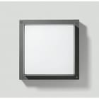 PERFORMANCE IN LIGHT - PRI304660 LED-Apparecchio a parete e soffitto 3000K 39W DALI Ottica simmetrica extra diffodente