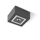 PERFORMANCE IN LIGHT - PRI304874 MIMIK 10 CEILING C/I20 10W 4000K AN96