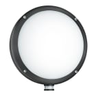 STEINEL ITALIA SRL - STX053079 L 330 LED ANTRACITE LAMPADA X ESTERNO
