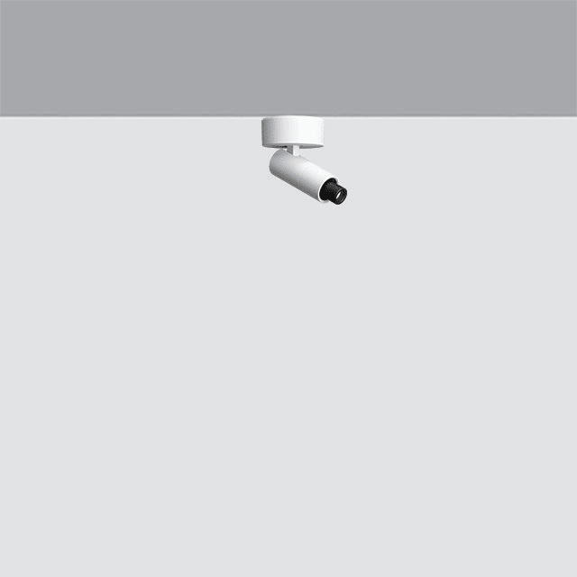 IGUZZINI ILLUMINAZI IGZ3.QI41.701.0 PALCO FRAMER D=19 PLAFONE 3000K CRI90 CL