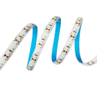 LAMPO LIGHTING TECHN - LMOREEL600IP20BC STRIPLED 600 MT.5 3000K IP20 12V 9,6W