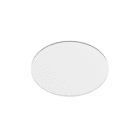 REGGIANI SPA ILLU - REG0.26463.0000 ACC VETRO SATINATO D60 PF