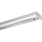 PERFORMANCE IN LIGHT - PRI3100343 RONDA+ RT T8 LED 1X1,5M 230V