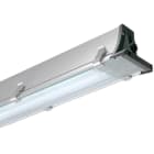 PERFORMANCE IN LIGHT - PRI05762025 LF4 258-CR-2X58W LUMILUX/TLD G13