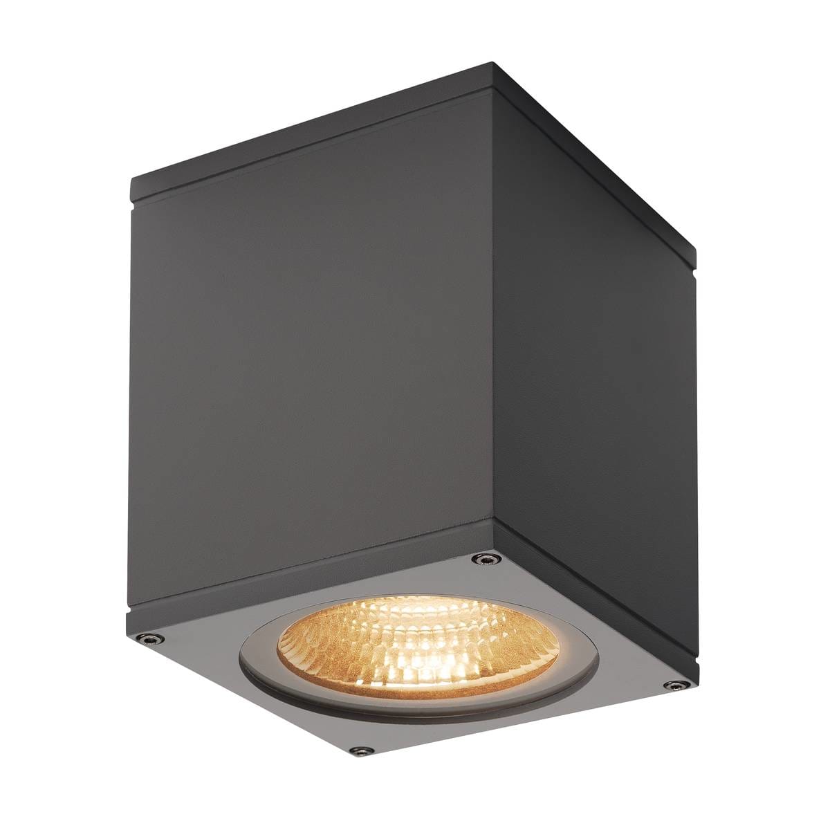 SLV ITALIA SRL SLV234525 BIG THEO WALL, PARETE, OUTDOOR FLOOD DOW