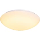 SLV ITALIA SRL - SLV1002022 LIPSY 50 DOME, PARETE/PLAFONE LED PER ES