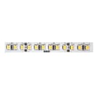 SICOM - SOL5600683020 SIRIOTAPE 6,5W/M 830 24V SUPERBRIGHT