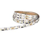 SICOM - SOL5601982765 SIRIOTAPE 19W/M 827 24V SB IP65