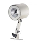 TARGETTI - TAR1T4599 CORO L PRJ 48W MWFL 3K SH ARM RA97 FW