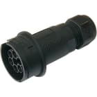 TECHNO SRL TLHTHB.405.A2E CONNECTOR PLUG 6P SCREW D7-14 IP68