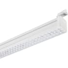 PERFORMANCE IN LIGHT PRI3100786 TRY TRACK 23 S/EW 830 WH-RAL9003