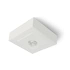 LINERGY SRL - LENVF2101 VIALED HIGH MINI BOX 355LM SL SPY CENTER