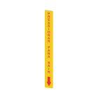 PIZZATO ELETTRICA PZZVF AP-A1AGR09 ADESIVO GIALLO IN PC RETTANGOLARE 300X3