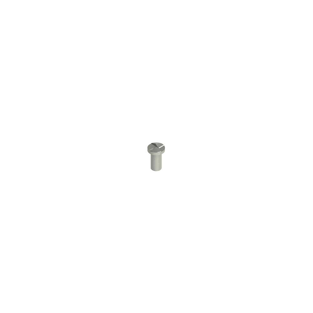 PIZZATO ELETTRICA PZZVF VAM5X10BW-X VITI DI SICUREZZA IN ACCIAIO INOX