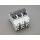 WOEHNER ELECTROTECHN WOH31143000 AMBUS X FUS, 22X58, 3P CON LED