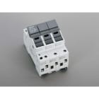 WOEHNER ELECTROTECHN - WOH31274000A AMBUS X FUS. 10X38, 3P + N INTEGR.