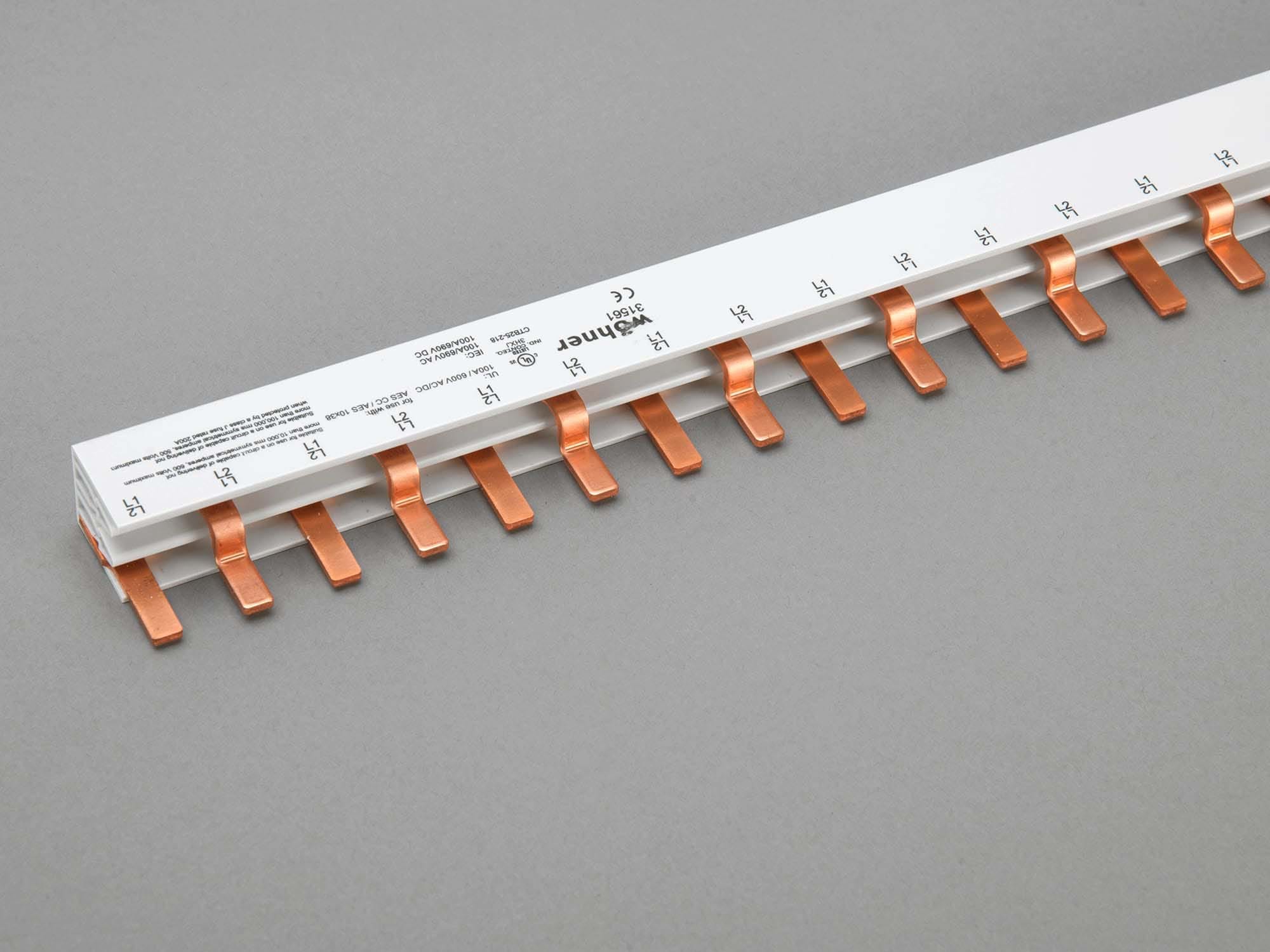 WOEHNER ELECTROTECHN - WOH31561000 BARRA PETTINE 2P, PER AES 10X38, 690V AC