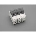 WOEHNER ELECTROTECHN - WOH31925000 AMBUS J-CARRIER 60A, 3P, CON LED